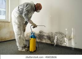 Mold Removal for HVAC Installations in Toledo, IA